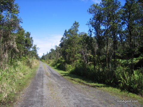 Typical Puna Subdivision